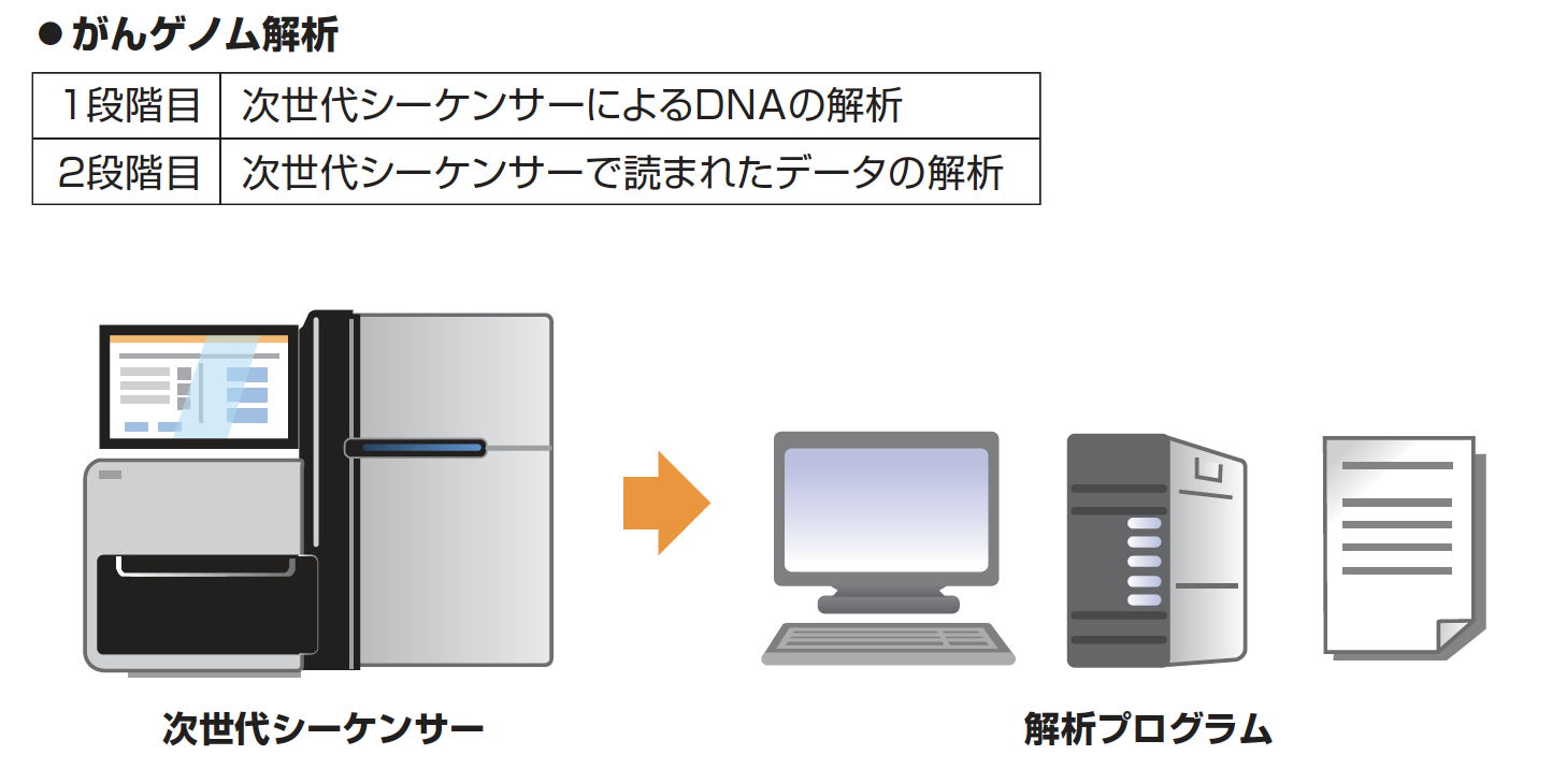 がんゲノム解析